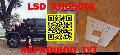крисы Новодвинск