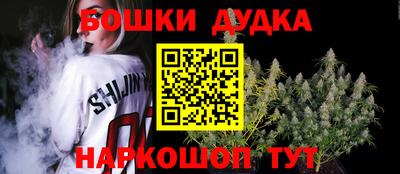 крисы Новодвинск