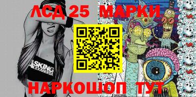 крисы Новодвинск