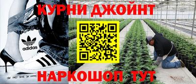 mdpv Новозыбков