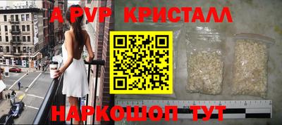 крисы Новодвинск