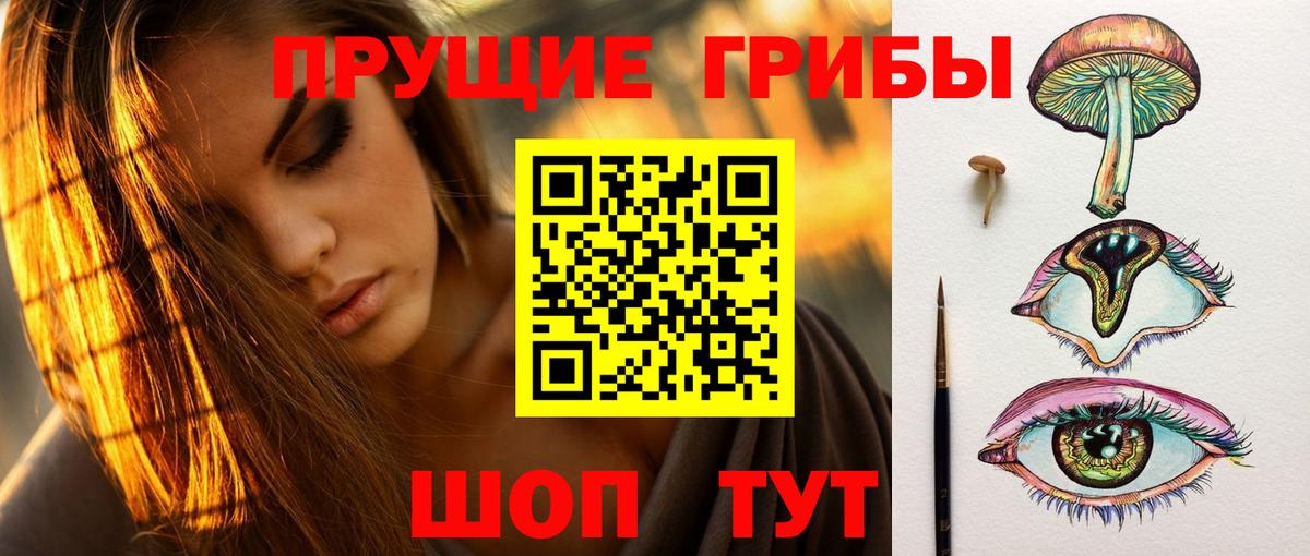 Псилоцибиновые грибы мухоморы  Псилоцибиновые грибы Magic Shrooms  Тихорецк  Вход с VPN 